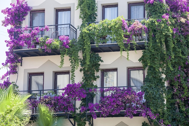 Gallery - Golden Age Crystal Bodrum - All Inclusive