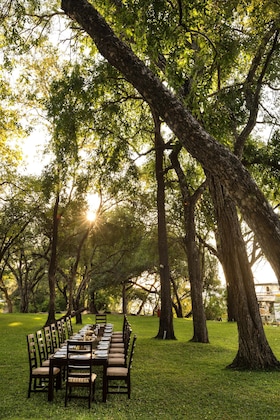 Gallery - A'zambezi River Lodge