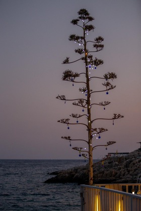 Gallery - Cappari Aquarius Hotel