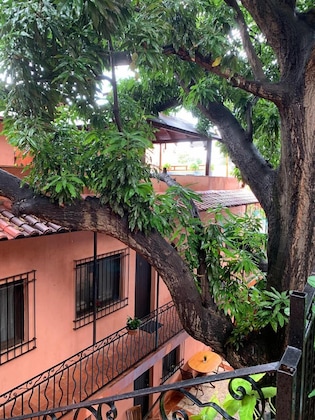 Gallery - Hotel Doña Elvira