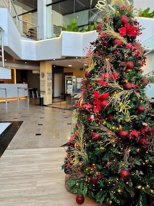 Gallery - Cambirela Hotel
