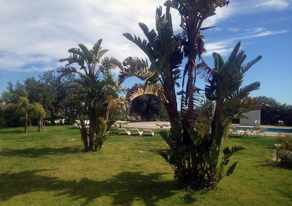 Gallery - Zaiera Resort Club