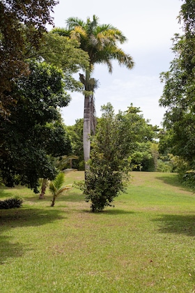 Gallery - Frenchman's Cove Resort