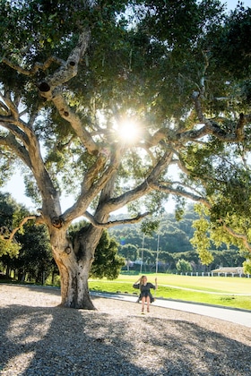 Gallery - Carmel Valley Ranch