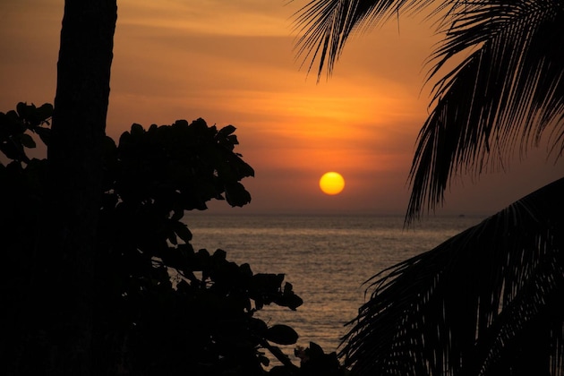 Gallery - Hotel La Isla