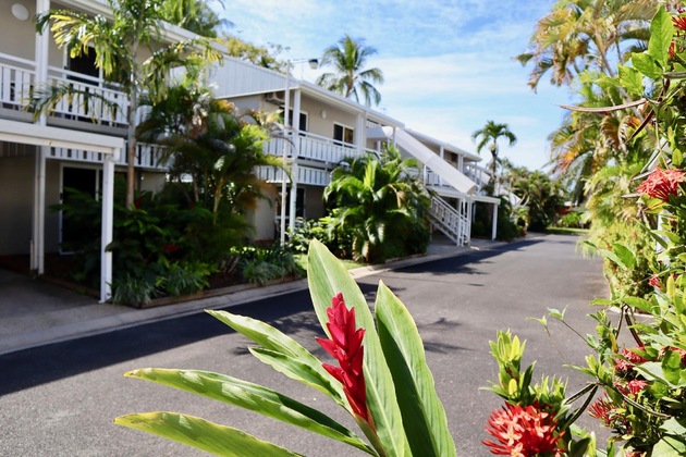 Gallery - Nimrod Resort Apartments