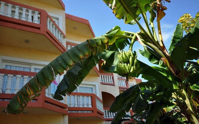 Gallery - Banana Beach Resort