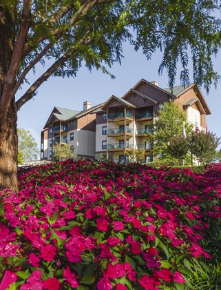 Gallery - Club Wyndham Smoky Mountains
