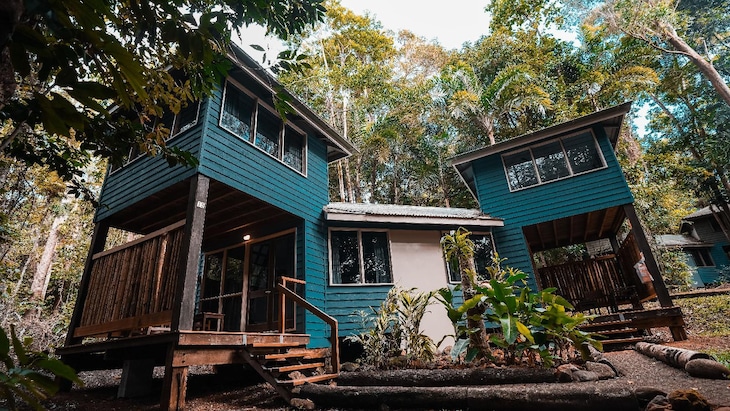 Gallery - Ferntree Rainforest Lodge