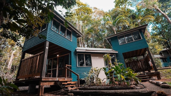 Gallery - Ferntree Rainforest Lodge