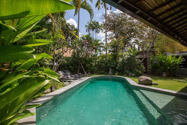 Gallery - The Ahimsa