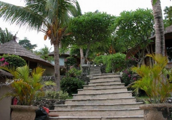 Gallery - Coconut Beach Resort