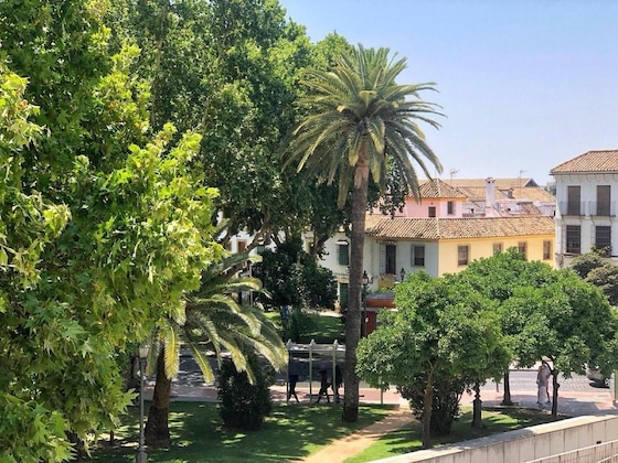 Gallery - Hotel las Casas de la Judería Córdoba