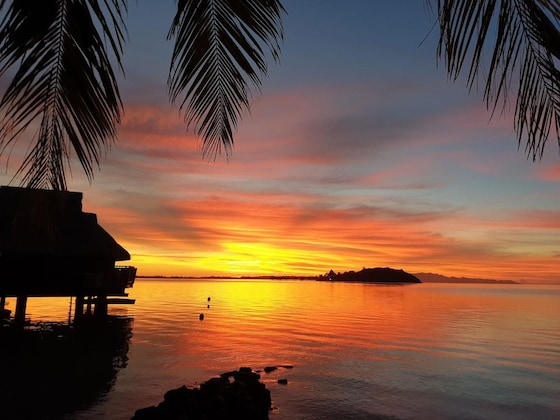 Gallery - Maitai Polynesia Bora Bora