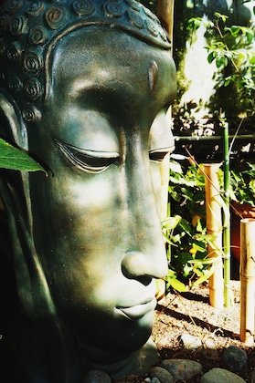 Gallery - Beach Boys Boutique Resort - Caters To Gay Men