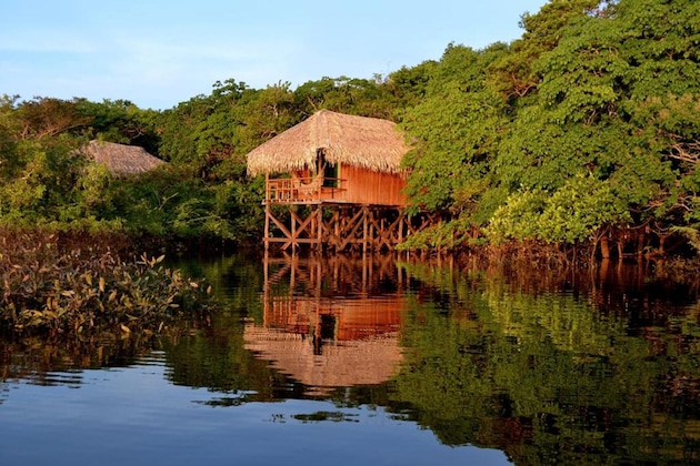 Gallery - Juma Amazon Lodge