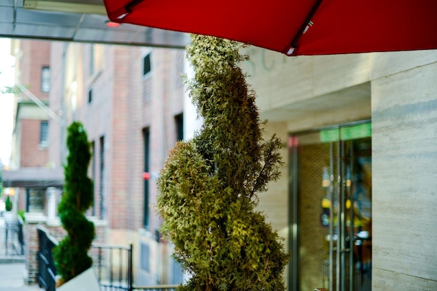 Gallery - Tuscany By Luxurban