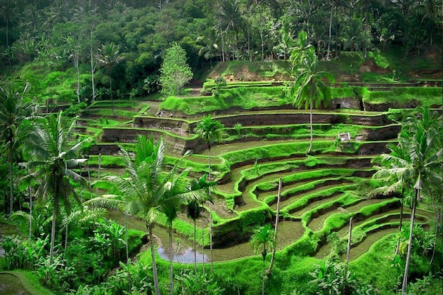 Gallery - Puri Dalem Cottages