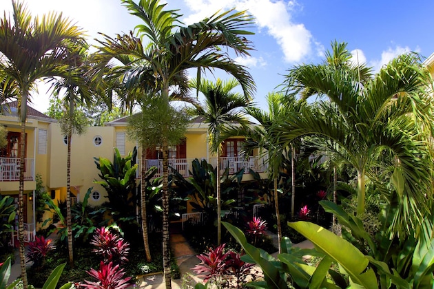 Gallery - Negril Palms