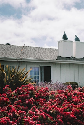 Gallery - Fireside Inn On Moonstone Beach