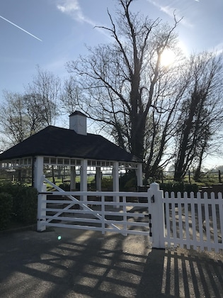 Gallery - The White Swan