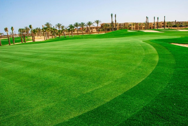 Gallery - Jaz Little Venice Golf Resort