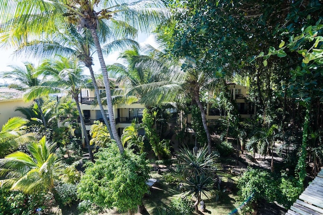 Gallery - Hibiscus Boutique Hotel