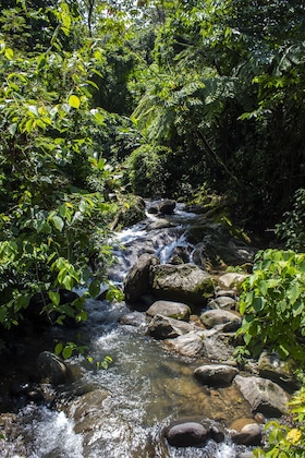 Gallery - Argovia Finca Resorts