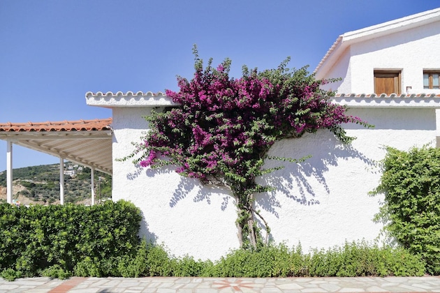 Gallery - Skopelos Village Hotel