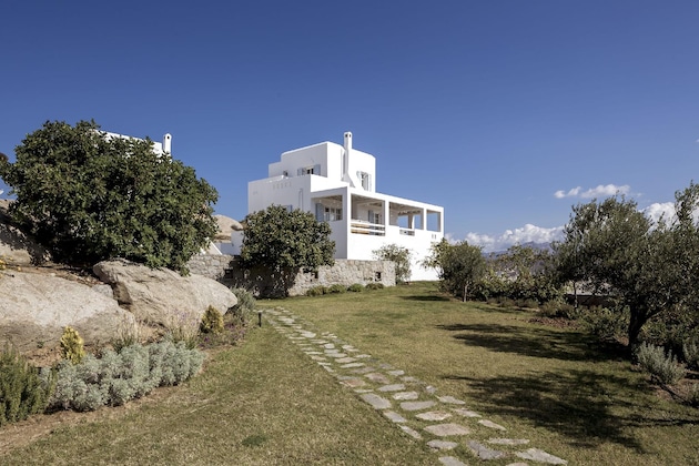 Gallery - Naxian Collection