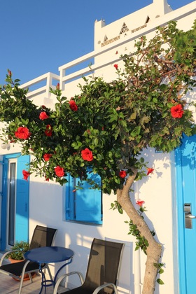 Gallery - Hotel Madalena