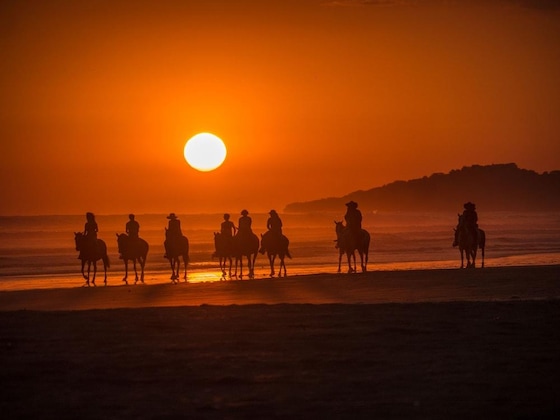 Gallery - Sunset Del Mar Resort