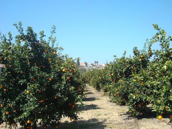 Gallery - Leonidas Village Houses