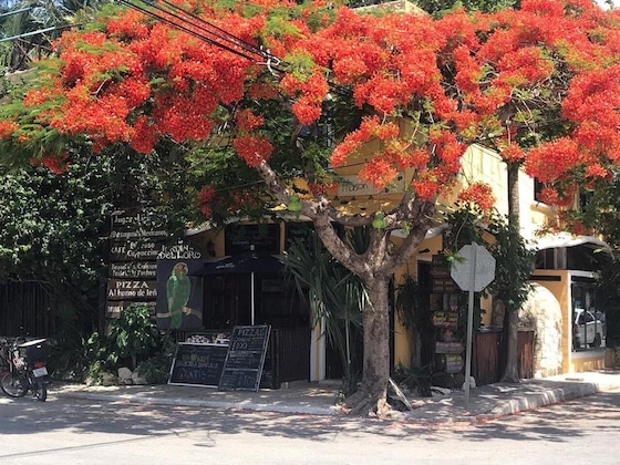 Gallery - Maison Tulum