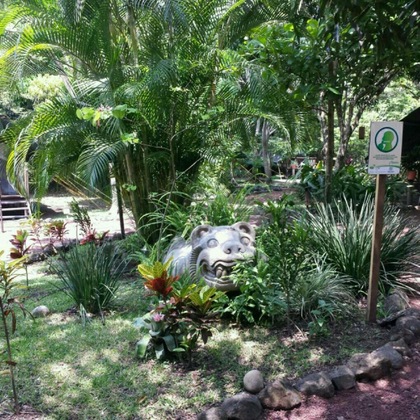 Gallery - Expediciones Mexico Verde