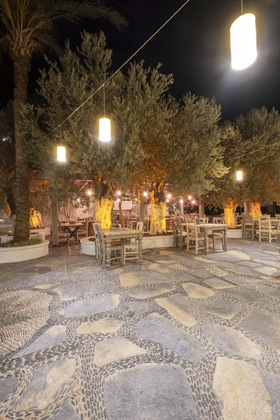 Gallery - Flamingo Hotel & Spa - Pet Friendly