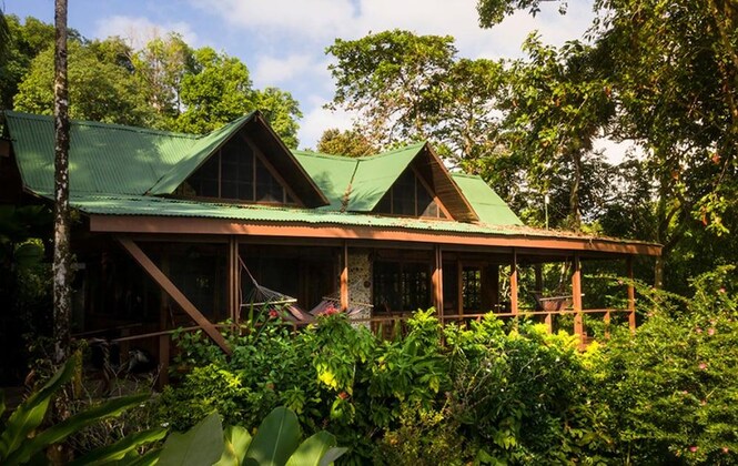 Gallery - Aguila De Osa Rainforest & Marine Adventure Lodge