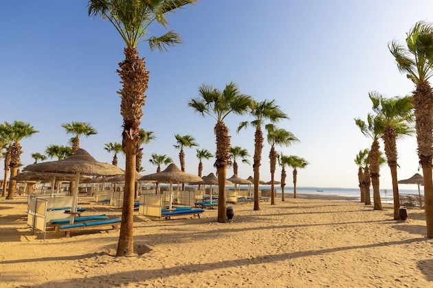 Gallery - Amwaj Beach Club Abu Soma