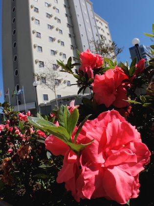 Gallery - San Diego Express Aparecida