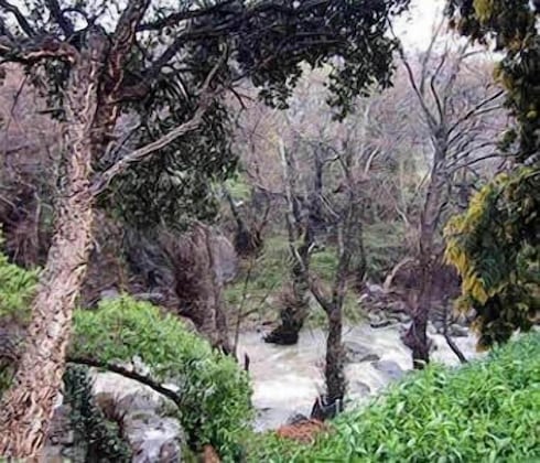 Gallery - Meson De Sancho