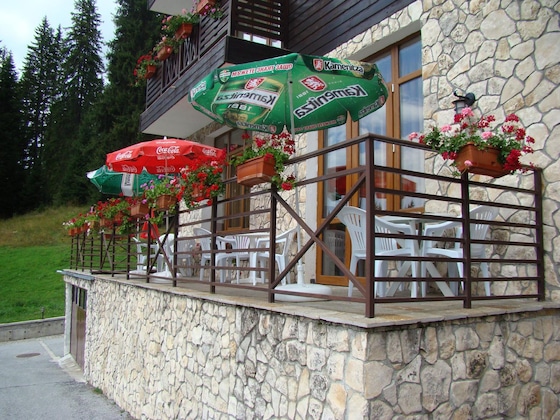 Gallery - Stream Resort