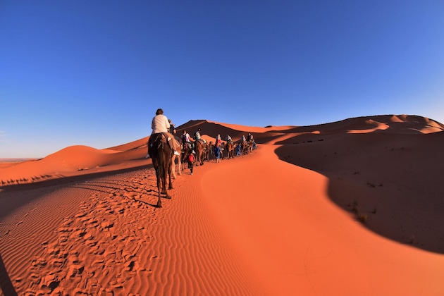 Gallery - Palmeras Y Dunas