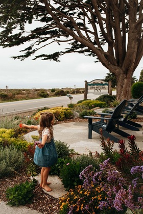 Gallery - Sea Otter Inn