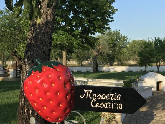 Gallery - Masseria Cesarina