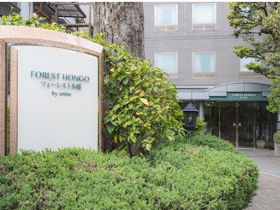 Gallery - Forest Hongo By Unito