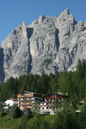 Gallery - Hotel Des Alpes