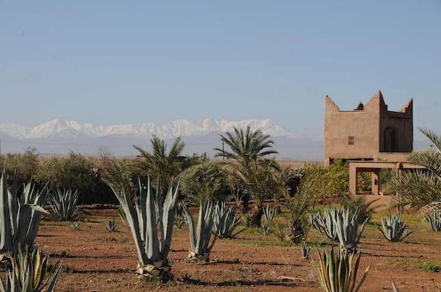 Gallery - La Parenthese De Marrakech