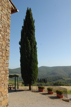 Gallery - Borgo Castelvecchi