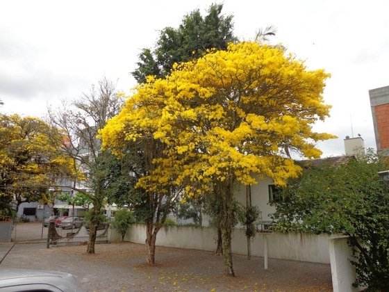 Gallery - Hotel Steinhausen