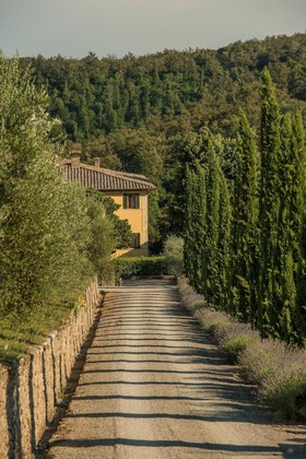 Gallery - Dievole Wine Resort